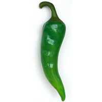 Chili 138 cm