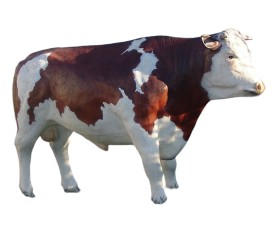 TJUR I NATURLIG STORLEK 262 CM