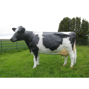 Mjölkko Amelia i naturlig storlek 270 cm (Holstein) – Med 19L tank för mjölkning