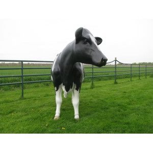 Mjölkko Amelia i naturlig storlek 270 cm (Holstein) – Med 19L tank för mjölkning