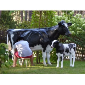 Mjölkko Amelia i naturlig storlek 270 cm (Holstein) – Med 19L tank för mjölkning