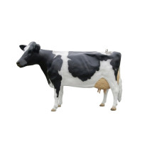 Mjölkko Amelia i naturlig storlek 270 cm (Holstein) – Med 19L tank för mjölkning
