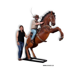 Cowboy på stegrande häst