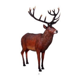 MAJESTÄTISK KRONHJORT