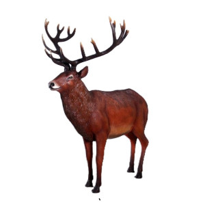 MAJESTÄTISK KRONHJORT