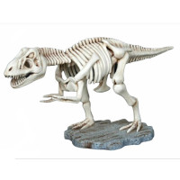 DINOSAURIE T-REX SKELETT 94 CM