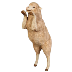 Merino Får, Stående, 109 cm