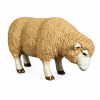 Merino Får Skulptur i Glasfiber (53x32 cm) – Dekor & Butiksinredning