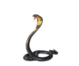 Kungskobra Skulptur i Naturlig Storlek (109 cm) – Verklighetstrogen Orm i Glasfiber