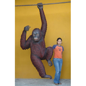 ORANGUTANG I NATURLIG STORLEK 220 CM 