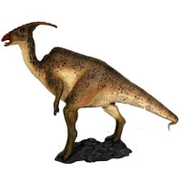 PARASAUROLOPHUS DINOSAURIE I NATURLIG STORLEK 