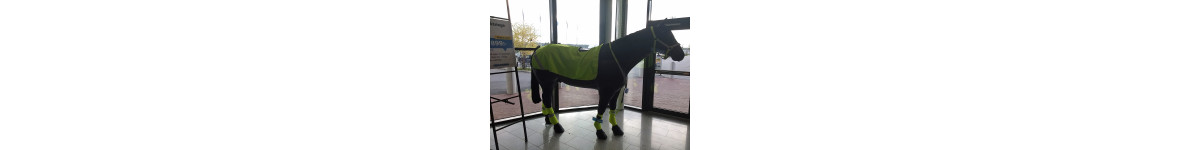 HÄSTAR ÅSNOR HÄSTAR ÅSNOR