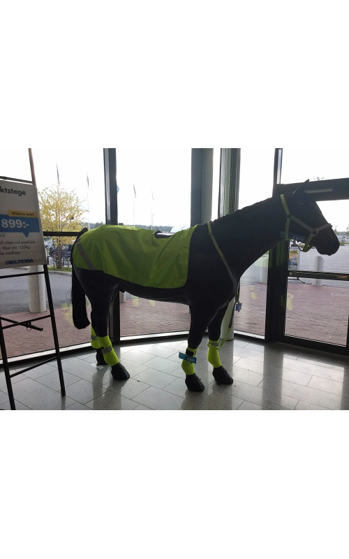 HÄSTAR ÅSNOR HÄSTAR ÅSNOR