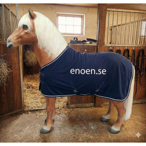 Islandshäst Skulptur Naturlig Storlek – 215 cm