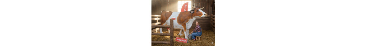 REA OUTLET: SKYLTDOCKOR & SKULPTURER REA OUTLET: SKYLTDOCKOR & SKULPTURER