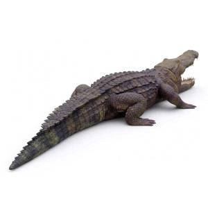 Gigantisk Krokodil Skulptur 320 cm | Naturlig Storlek | Miljövänlig Akryl