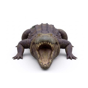 Gigantisk Krokodil Skulptur 320 cm | Naturlig Storlek | Miljövänlig Akryl