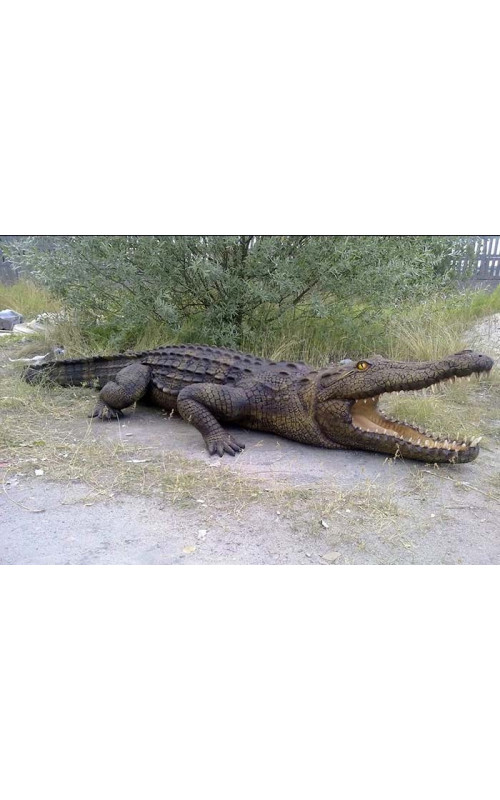 Reptiler och kräldjur i naturlig storlek.