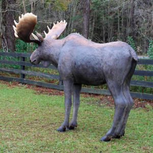 ÄLG I NATURLIG STORLEK 235 CM “HYR ELLER KÖP” 