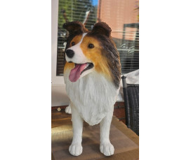 Shetland Sheepdog Staty i Glasfiber