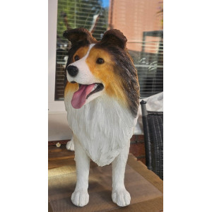 Shetland Sheepdog Staty i Glasfiber