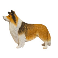 SHETLAND SHEEPDOG “ENGELSK SHELTIE” I NATURLIG STORLEK 81 CM “HYR ELLER KÖP” 