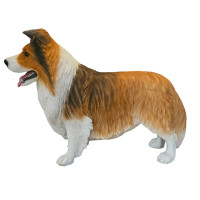 SHETLAND SHEEPDOG “ENGELSK SHELTIE” I NATURLIG STORLEK 84 CM “HYR ELLER KÖP”