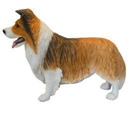 SHETLAND SHEEPDOG “ENGELSK SHELTIE” I NATURLIG STORLEK 84 CM “HYR ELLER KÖP”