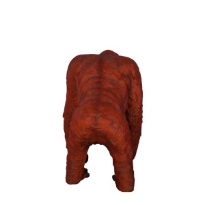 Male Orangutan 110 cm
