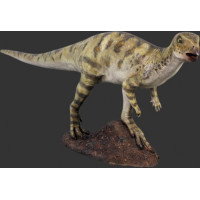 Dinosaurie 2,02 m Hypsilophodont 