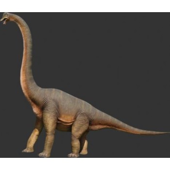 Dinosaurie  Braciosaurus 5,47 m