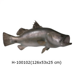 AUSTRALISK LUNGFISK BARRAMUNDA 126 CM