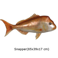 SNAPPER FISK 85 CM