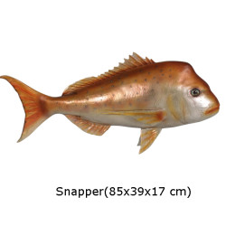 SNAPPER FISK 85 CM