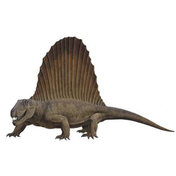 Dinosaurie Dimetrodon 376 cm 