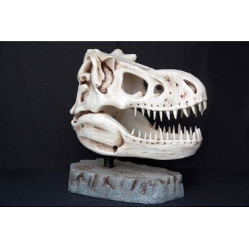 Dinosaurie T-Rex skalle 66 cm