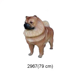 CHOW CHOW 79 CM 