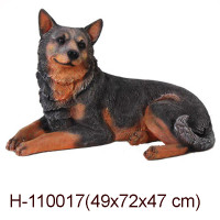 AUSTRALIAN CATTLEDOG (BLUE HEELER) 72 CM