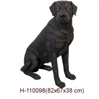 LABRADOR SVART 82 CM