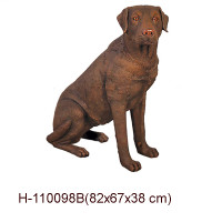 LABRADOR BRUN 82 CM