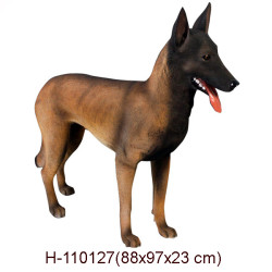 BELGISK VALLHUND/MALINOIS I NATURLIG STORLEK 97 CM