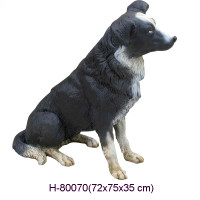 BORDER COLLIE 75 CM