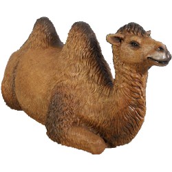 Kamel 230 cm 