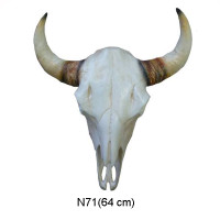 BUFFELHORN 64 CM