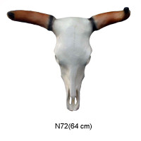 BUFFELHORN 64 CM