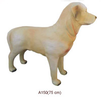 LABRADOR 75 CM