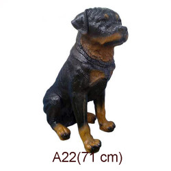 ROTTWEILER 71 CM