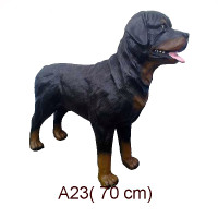 ROTTWEILER 70 CM