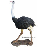 Struts 205 cm 