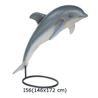 DELFIN 172 CM 